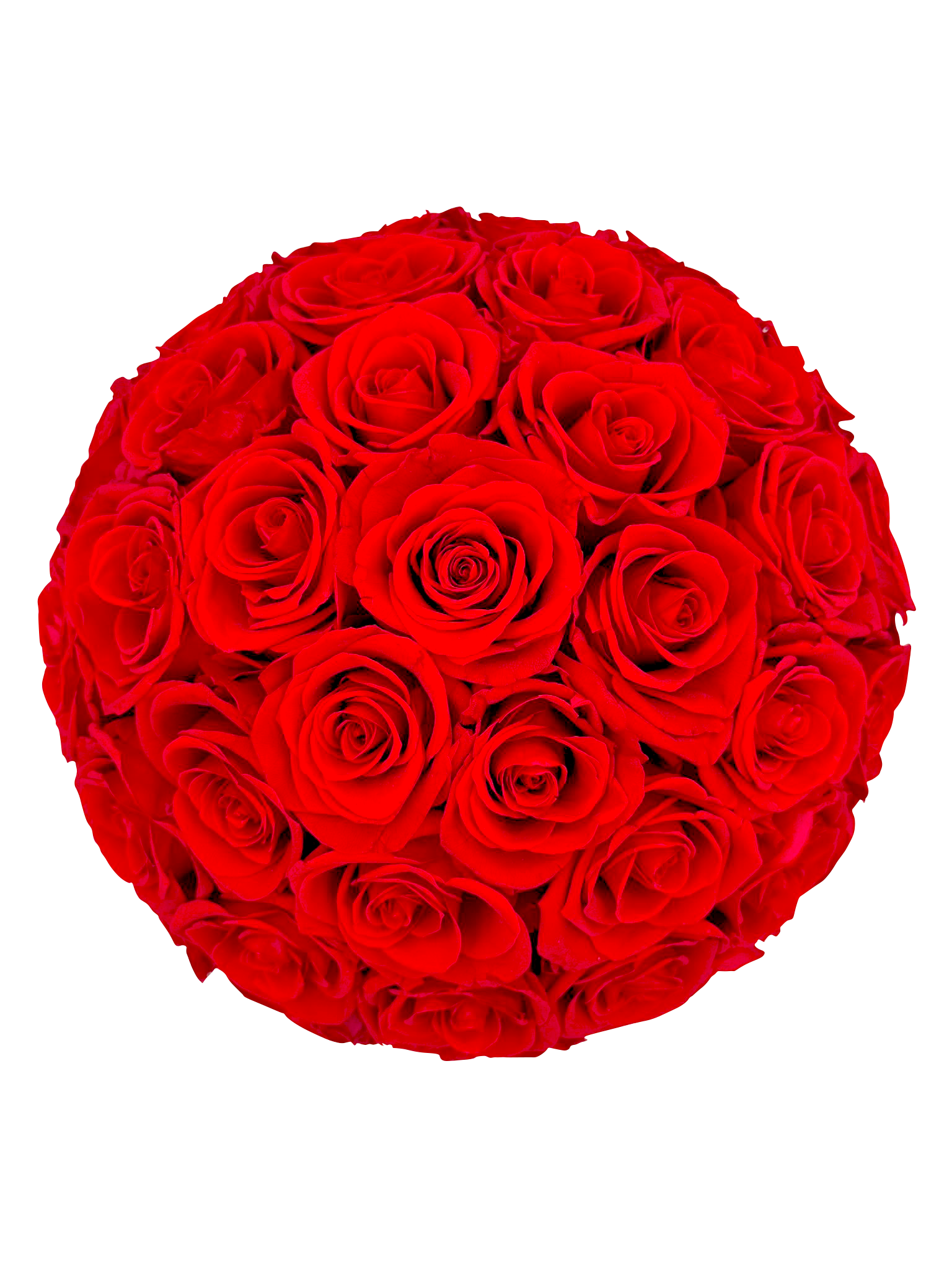 Mushroom Shaped Big Red