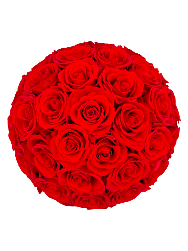 Mushroom Shaped Big Red