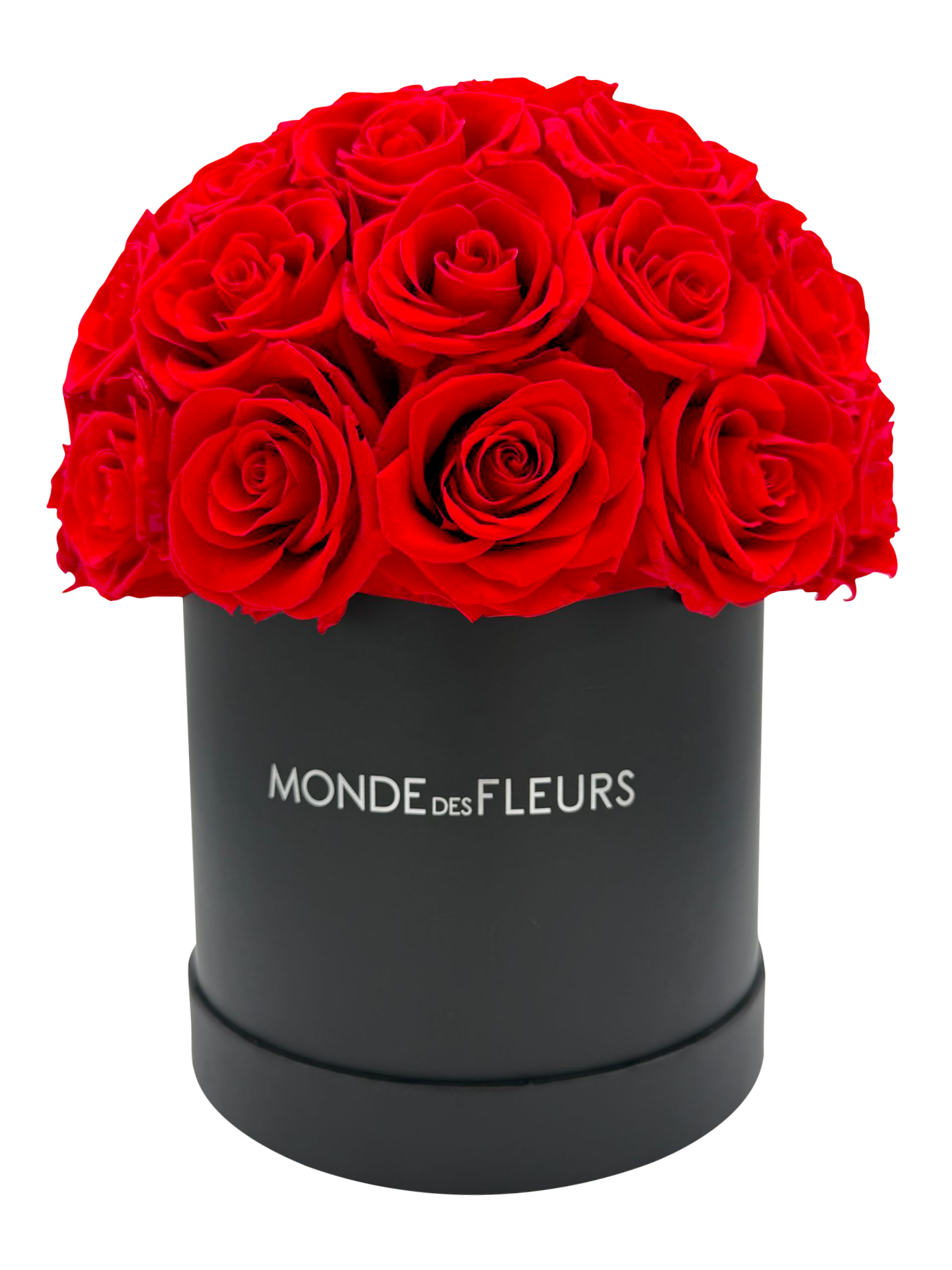 Mushroom Shaped Big Red