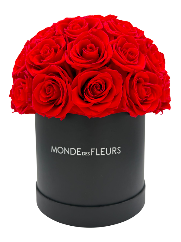 Mushroom Shaped Big Red