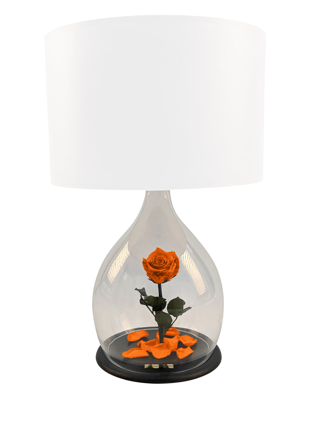 Rosen Lampe mit Rose in Orange - MONDE DES FLEURS