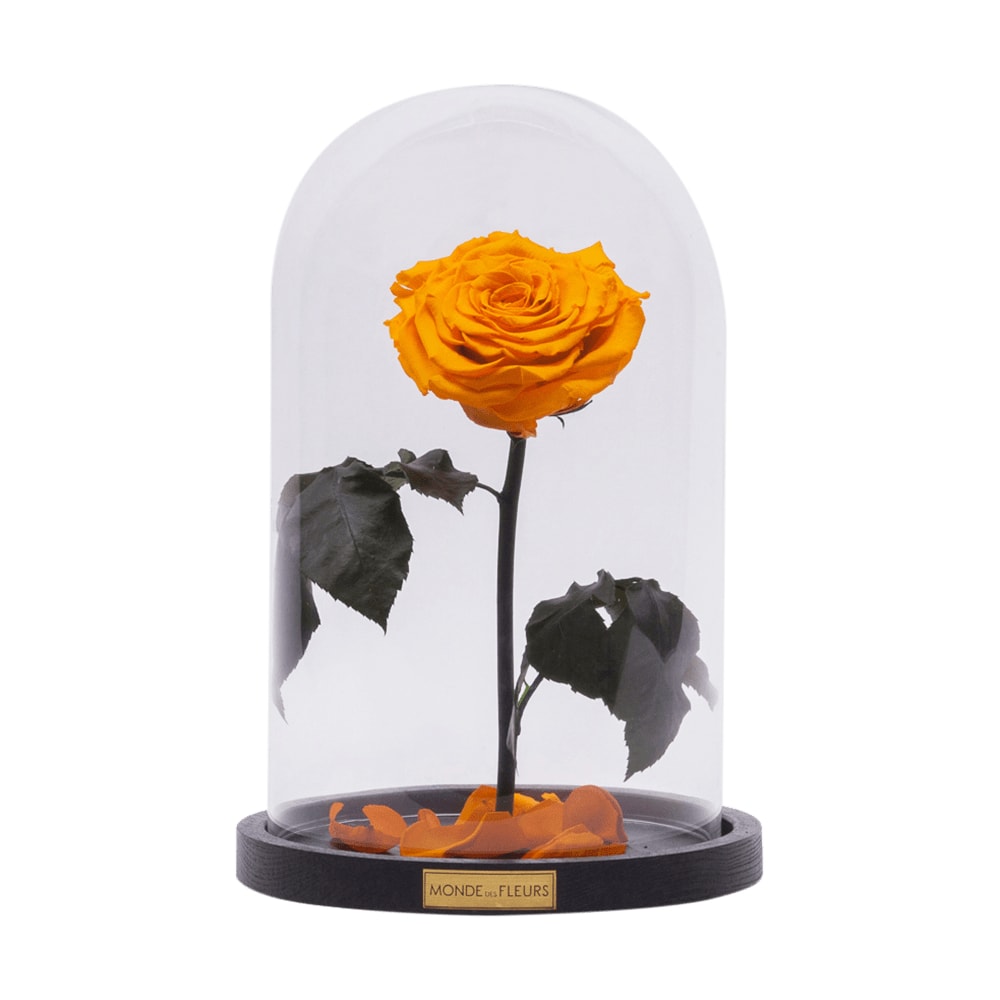 Rose im Glas gelb - MONDE DES FLEURS