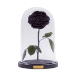 Rose im Glas Schwarz - MONDE DES FLEURS