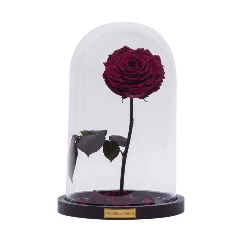 Rose im Glas Dunkel Rot - MONDE DES FLEURS