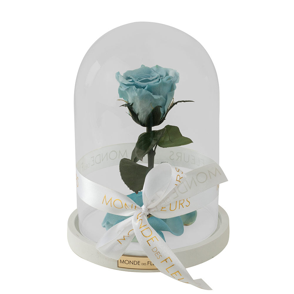 La Belle Mini - Rose im Glas weisser Boden – MONDE DES FLEURS