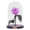 Rose im Glas Lavendel - MONDE DES FLEURS