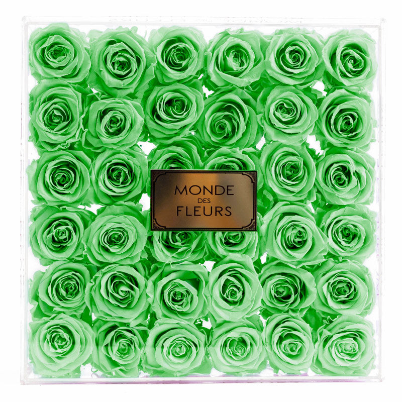 Acryl Flowerbox Rosenbox mit Rosen in Limetten Grün - MONDE DES FLEURS