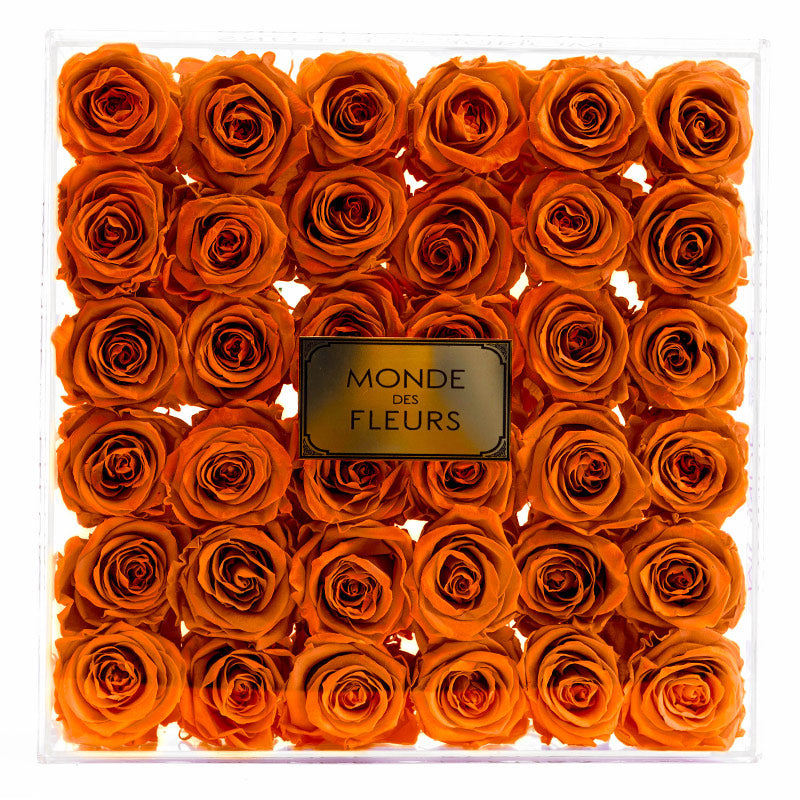 Acryl Flowerbox Rosenbox mit Rosen in Orange - MONDE DES FLEURS