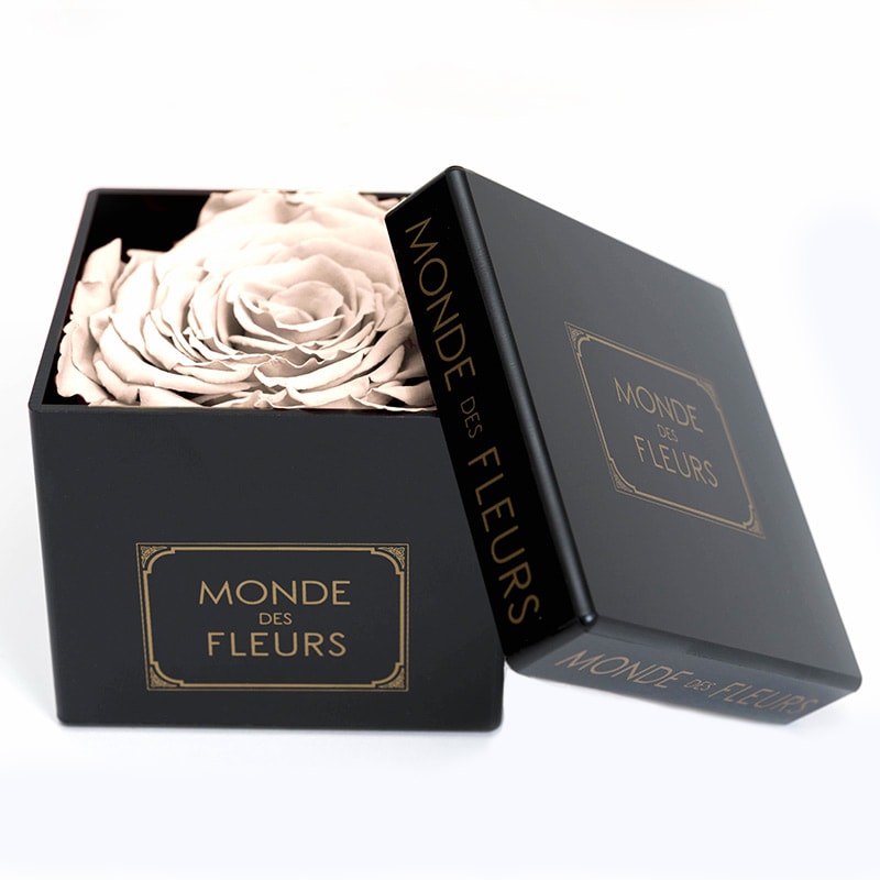 Flowerbox Rosenbox Creme - MONDE DES FLEURS