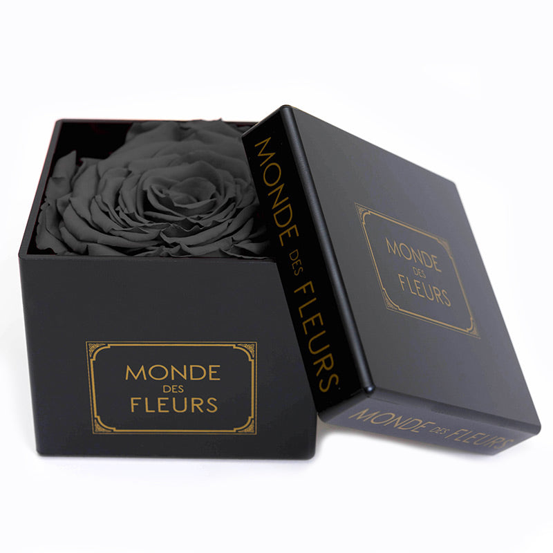 FLOWERBOX NOIR BLACK - MONDE DES FLEURS