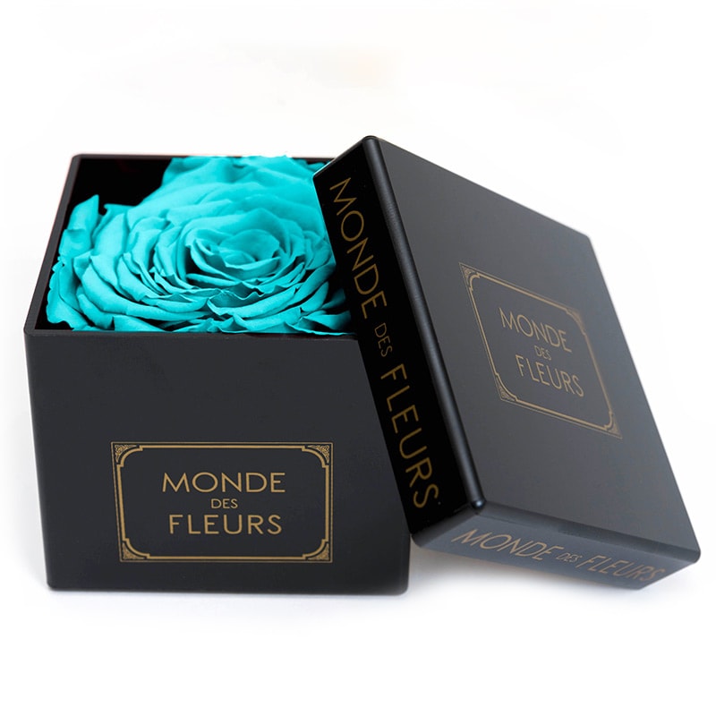 FLOWERBOX TURQUOISE - MONDE DES FLEURS