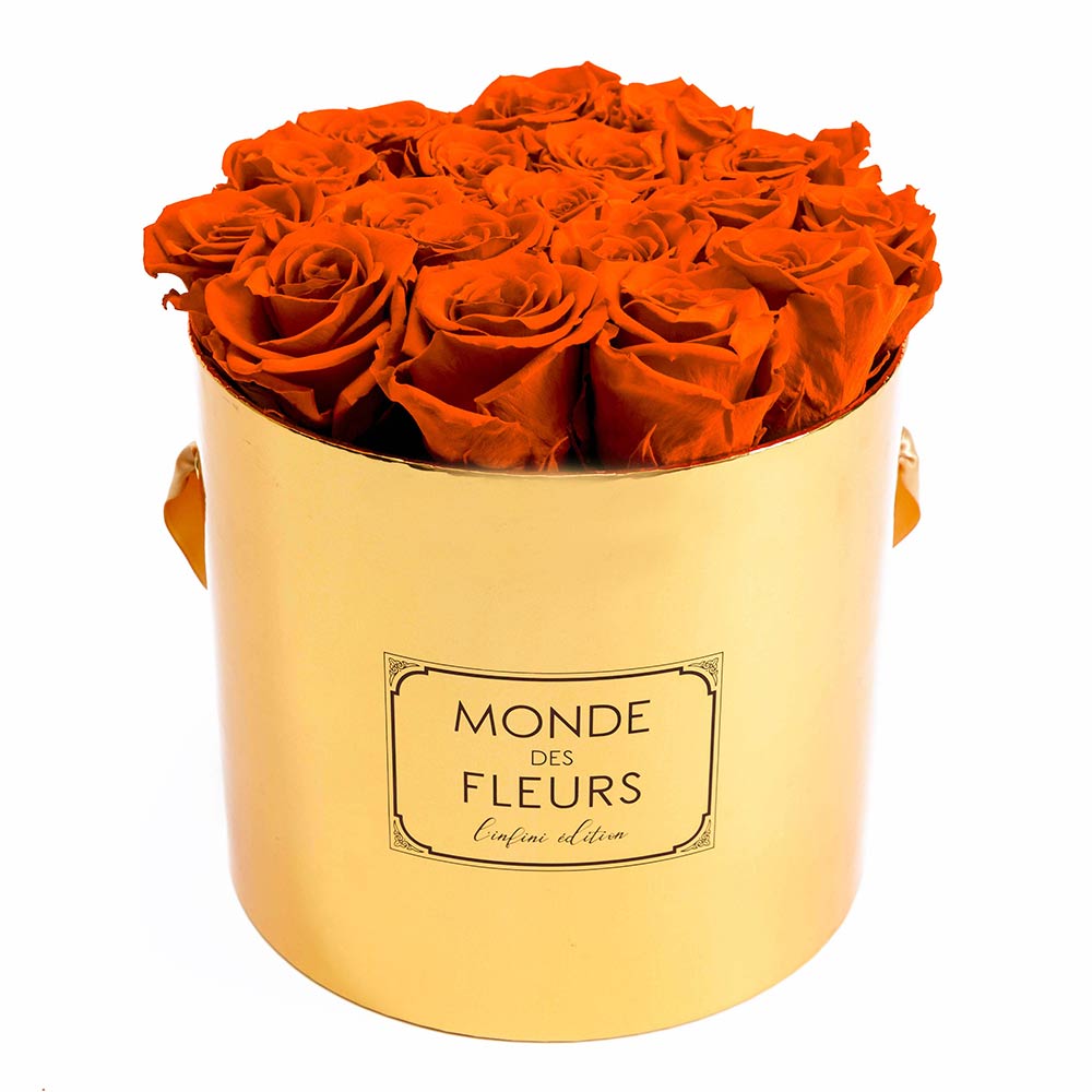 Flowerbox Rosenbox Orange - MONDE DES FLEURS