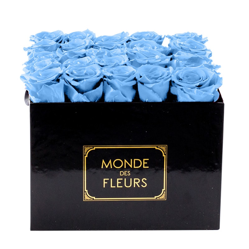 Flowerbox Rosenbox Baby Blau - MONDE DES FLEURS