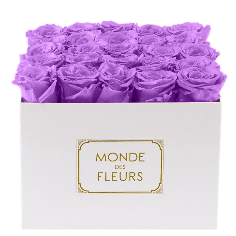 Flowerbox Rosenbox Lavendel - MONDE DES FLEURS