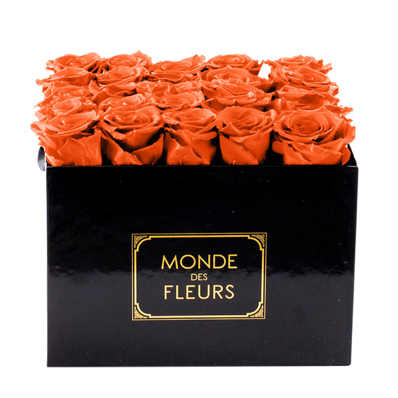 Flowerbox Rosenbox Orange - MONDE DES FLEURS