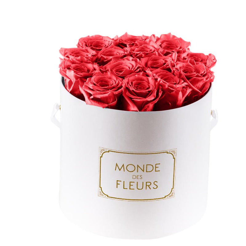Flowerbox Rosenbox Rot - MONDE DES FLEURS