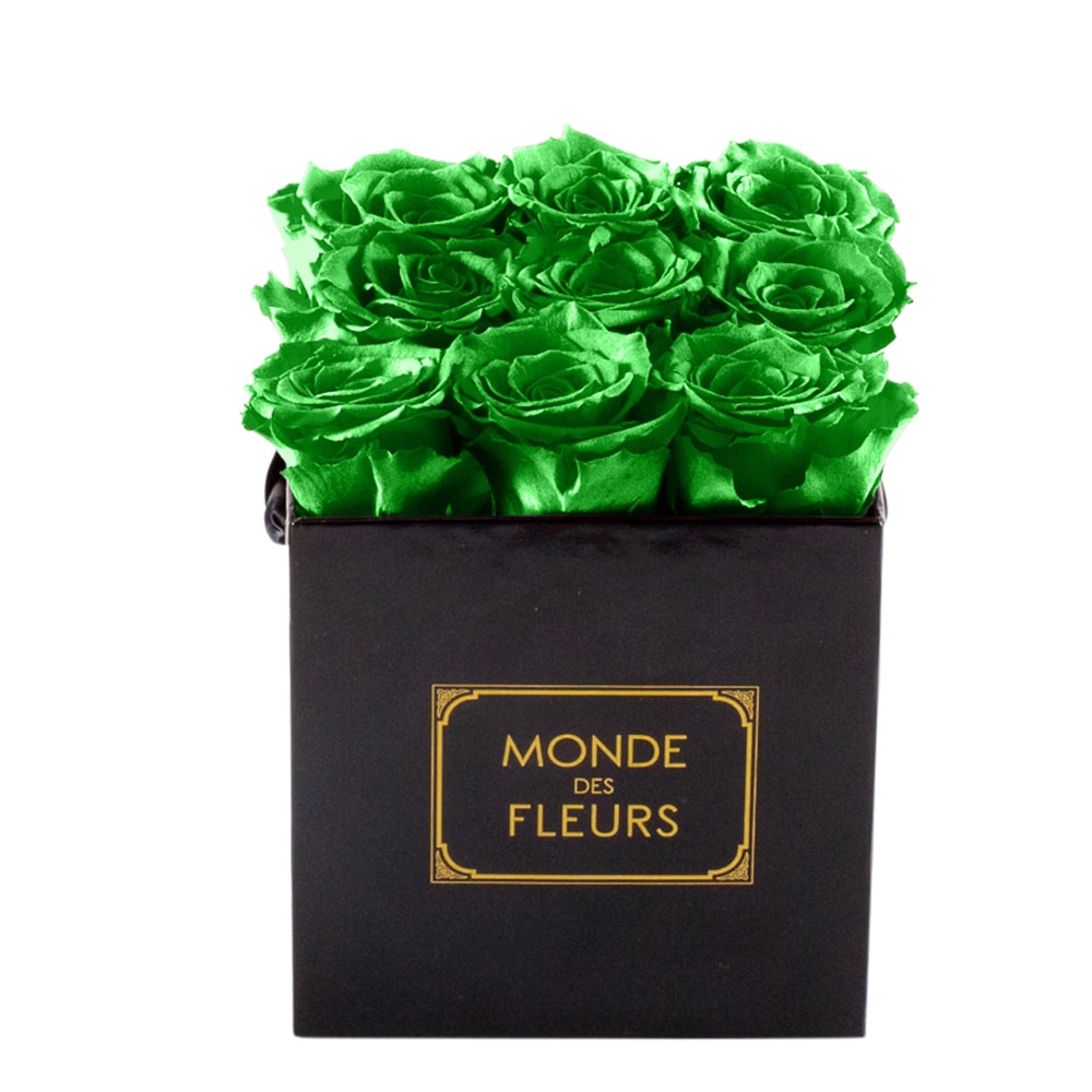 Flowerbox Rosenbox Grün - MONDE DES FLEURS
